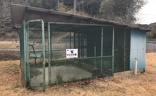 長南東小学校スタジオ ネズミ小屋