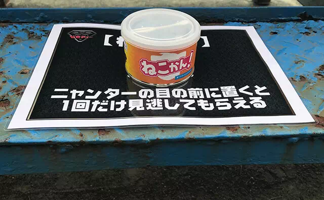 長南東小学校スタジオ ミッションに使用する小道具