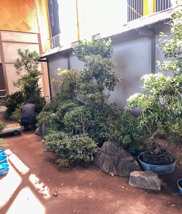 長南東小学校スタジオ 体育館