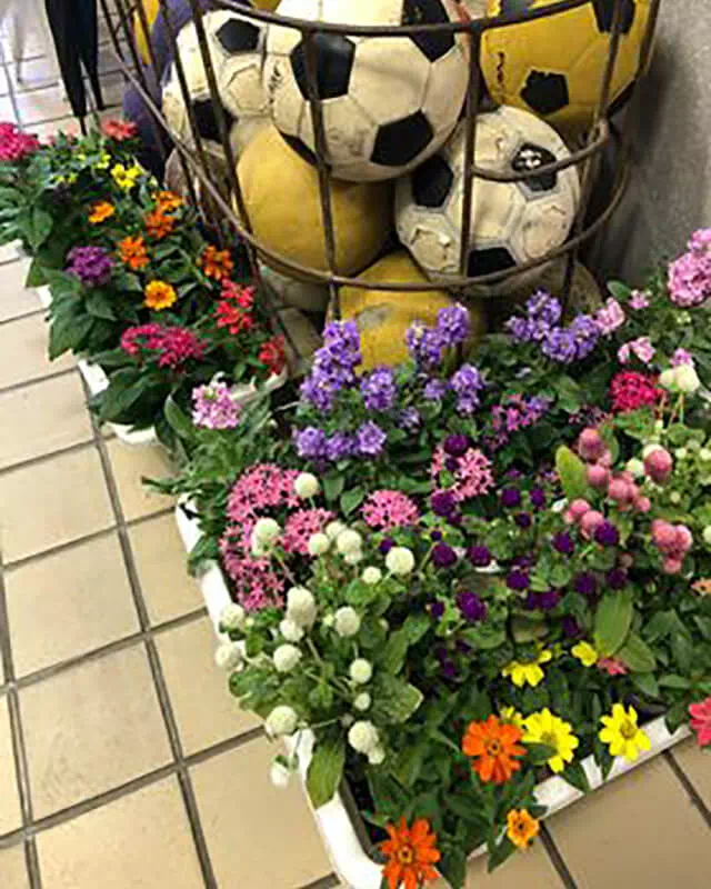 長南東小学校スタジオ 昇降口
