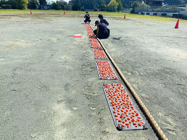 スクールスタジオ